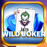 Wild Joker